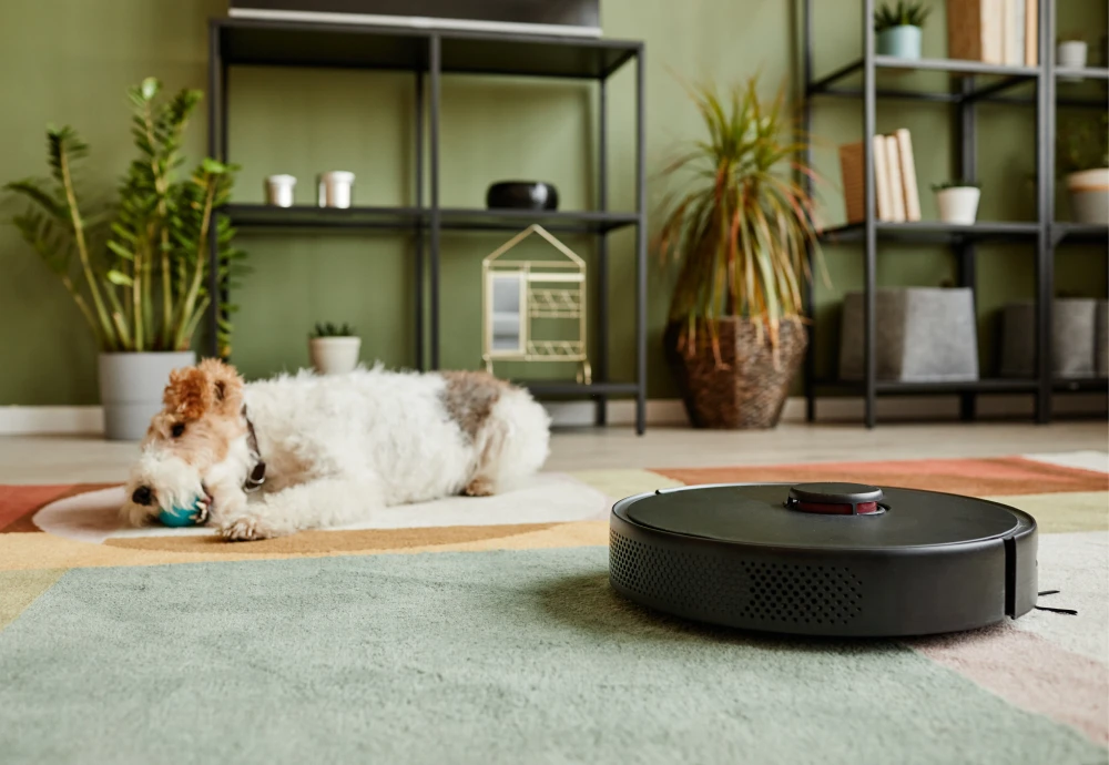 where to buy a robot vacuum cleaner